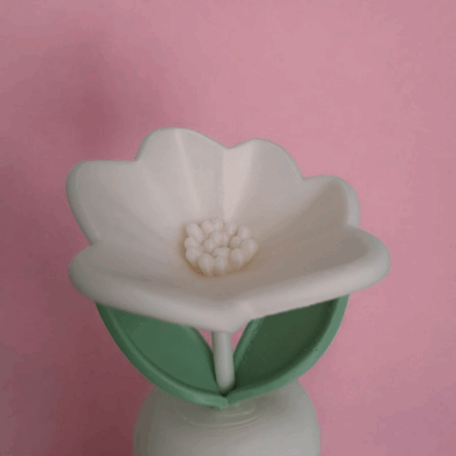 eternalspringflower (1)