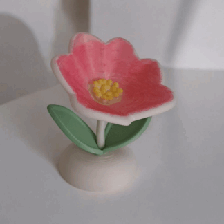 eternalspringflower (12)