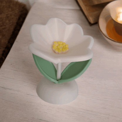 eternalspringflower (5)