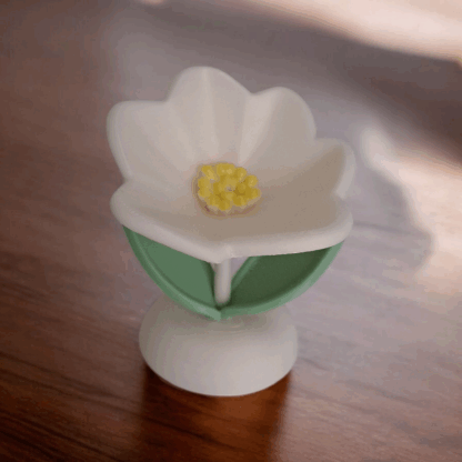 eternalspringflower (8)