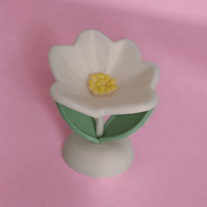 eternalspringflower (9)