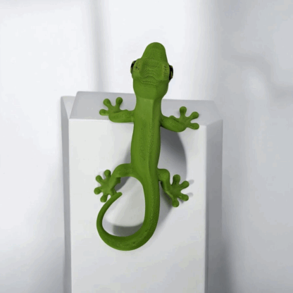 gecko 1 (1)