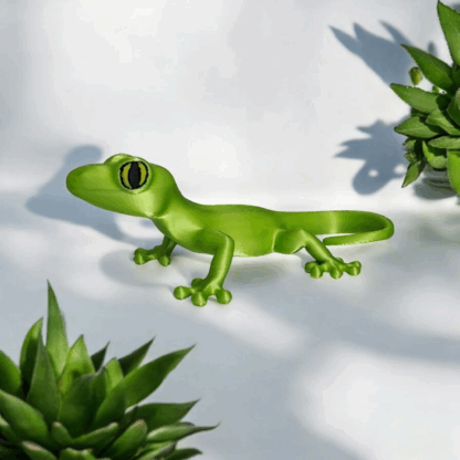 gecko 1 (12)