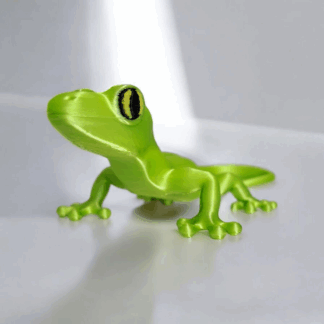 gecko 1 (8)