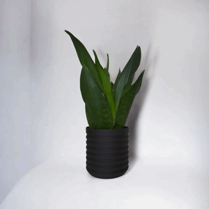 Maceta RippleBloom – Diseño Ondulado y Elegante - Imagen 3