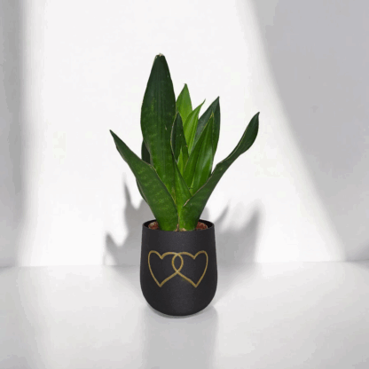 Maceta Corazón Curvo – Edición Especial para Regalo - Imagen 4
